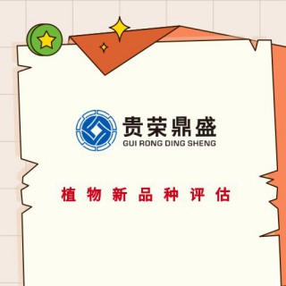 广东省河源市企业无形资产找一家企业资产价值专业评估今日更新