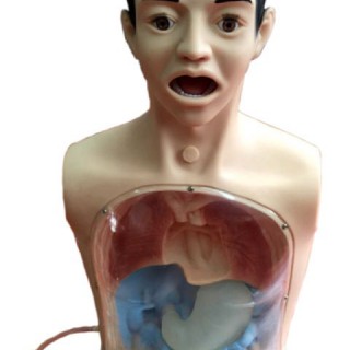 益联医学厂家直销带警示透明洗胃机制模型 洗胃教学训练