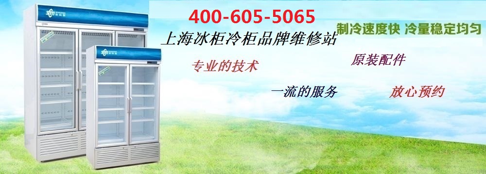 上海盛宝冰柜冷柜展示柜维修故障分析以及修复方法